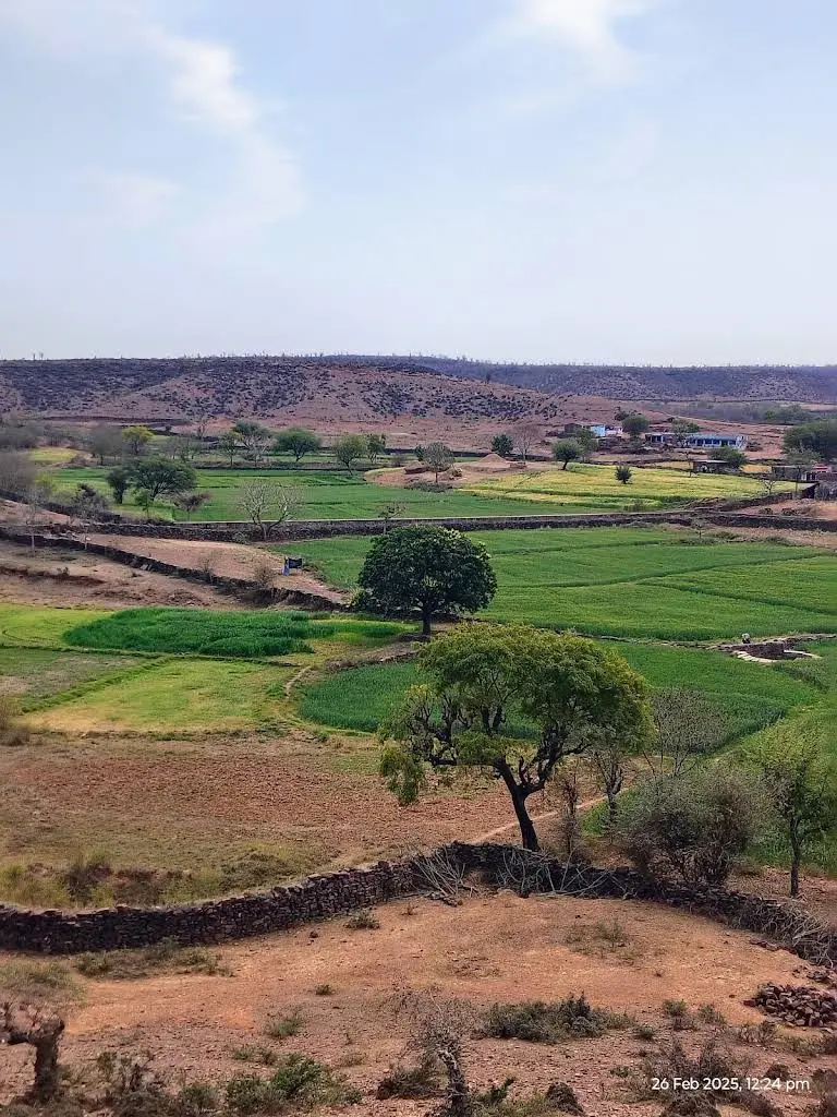Kailadevi Wildlife Sanctuary